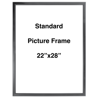 Standard Picture Frame